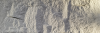 STONE SKIN 2400 PUO-04